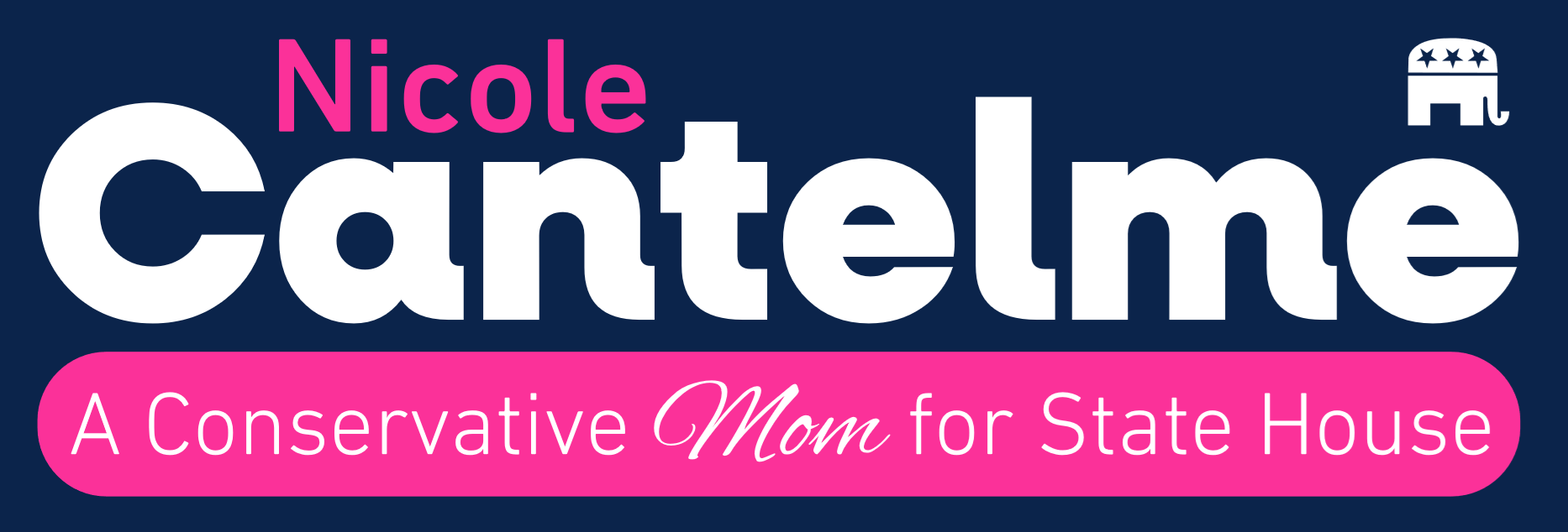 Nicole Cantelme - A Conservative Mom for State House